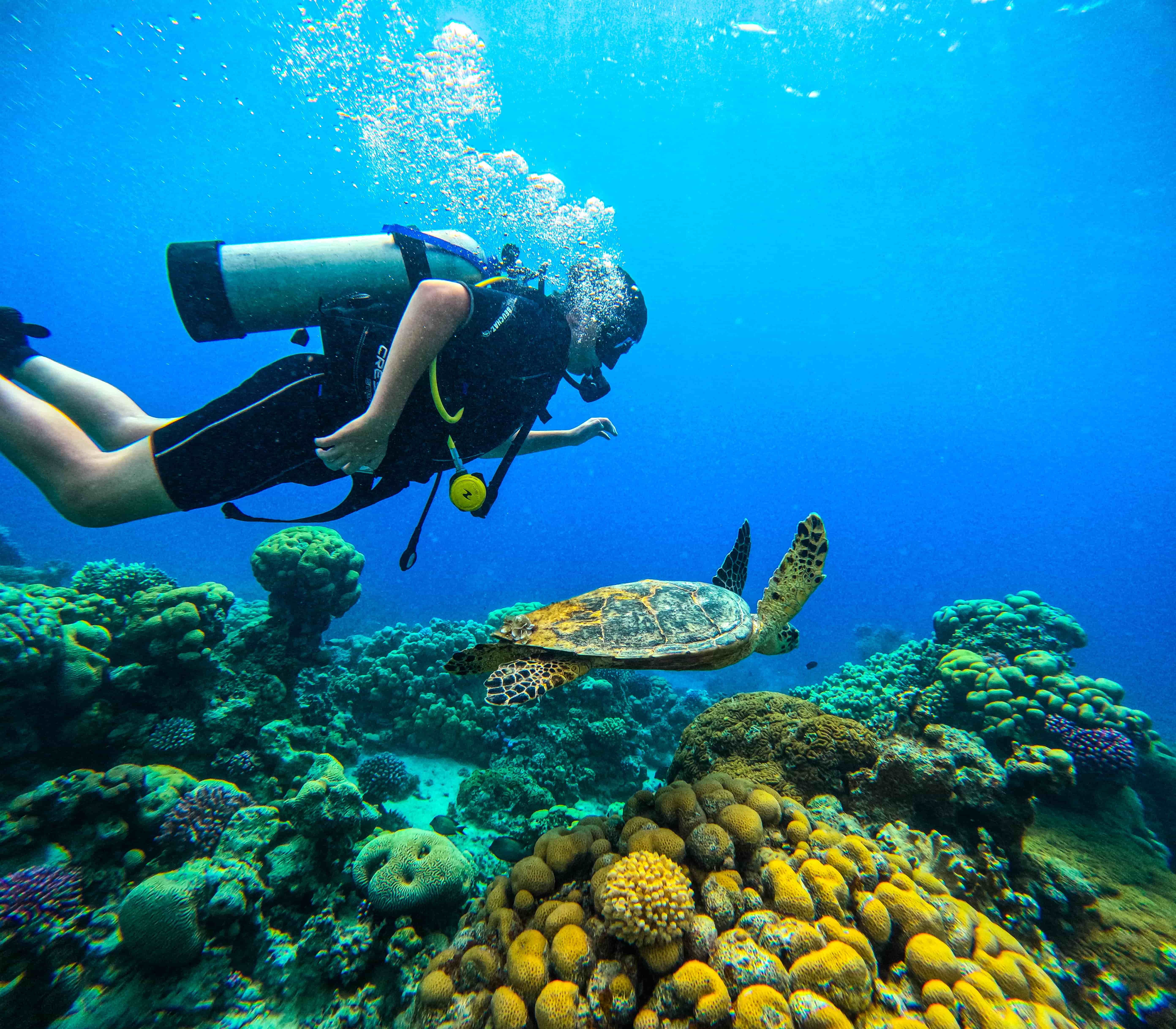 Boat Scuba Diving Adventure