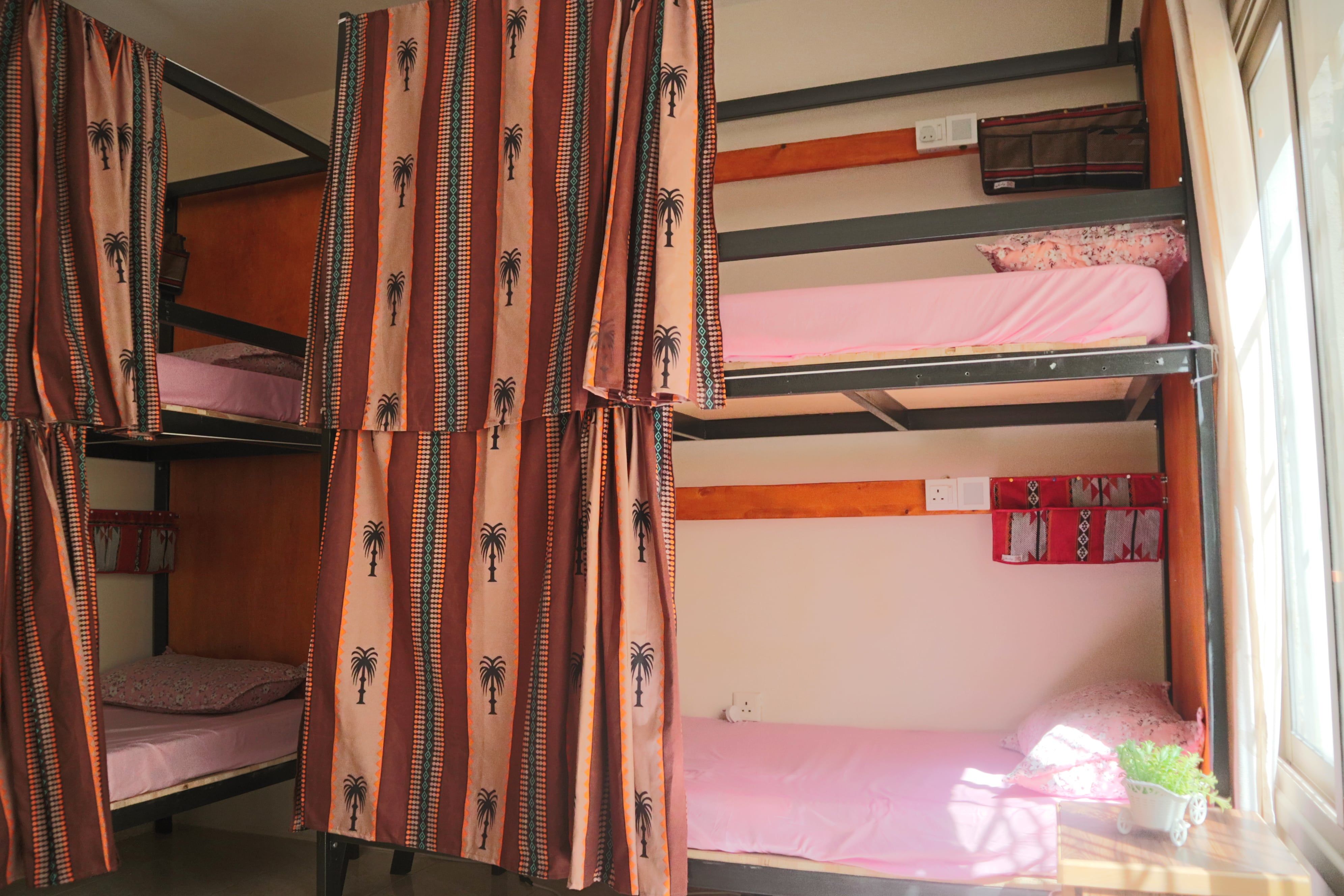 5-Bed Mixed Dormitory Room 2